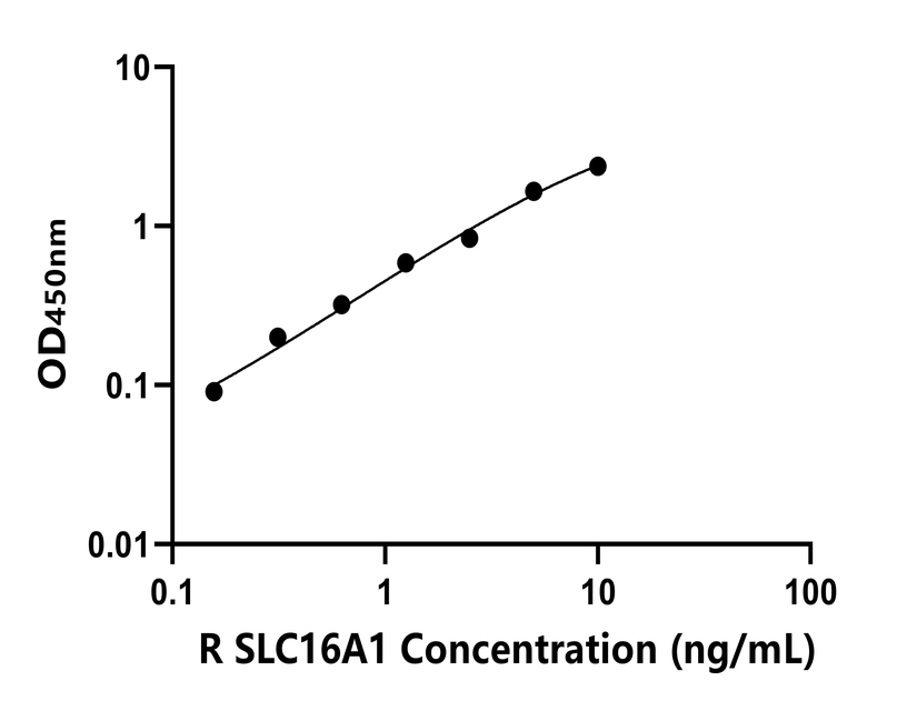 大鼠(SLC16A1)ELISA試劑盒 大鼠(SLC16A1)ELISA試劑盒